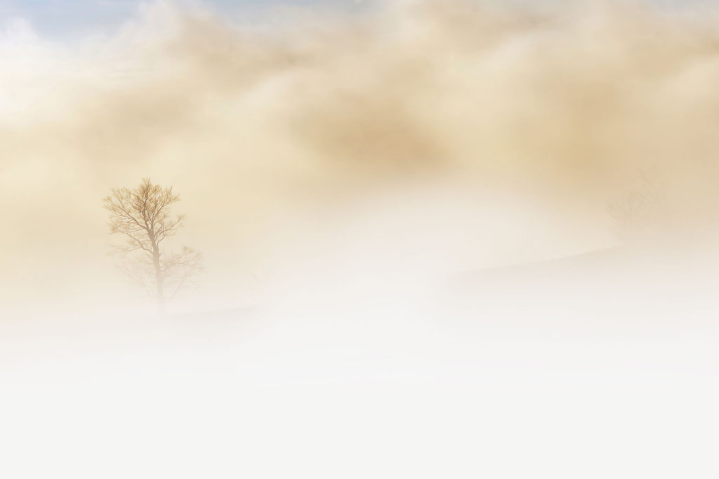 Nebel Fototipps printolino